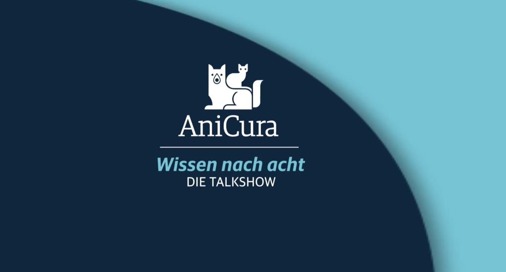 Wissen nach acht